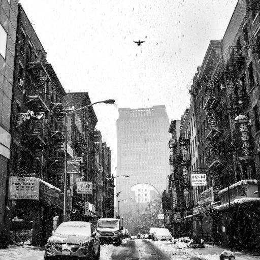 Nolan Ryan Trowe, VII Mentor Program, March 21, 2018; New York, New York; A bird flies through China Town during a blizzard.