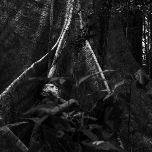 In October, 2017, Aladino, a native Bora shaman, lays and smokes on the roots of the biggest tree in the forest. He goes to the center of the forest, which they call "El Monte" or the Sacred Valley, when he needs to think and be near his ancestor’s spirits. The place still has its pure virgin forest and Aladino has come more frequently these past two years as he still recovers from the disease that nearly killed him, his mother passed away and now his father is sick. He believes that all that has passed is due to curses and maledictions made by his enemies from rival tribes. El Monte is the home of ancient Bora spirits and it makes the best place to be when he needs to ask for protection or to uncover who is being harming him and his family.