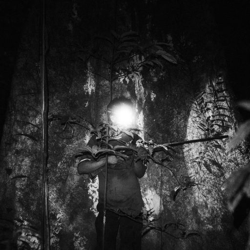In October, 2017, late at night is the best way to hunt capybara, monkeys, curassow, small crocodile and some other wild animals around the Peruvian amazon. Aladino, a native Bora shaman, stands with his shotgun and head flashlight waiting for anything that moves. The Sacred Valley or "El Monte", as they call it, still has its virgin forest and is considered by the Boras an important place where they believe all the ancient spirits live. Often, Aladino has to be at these places in order to provide food for his family and of course to be connected with the spirits like the old traditions say.