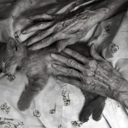 Madje Steber plays with a kitten at her daughter's house in Miami, Florida during a weekend visit. Madje, a scientist, suffered from memory loss the last 9 years of her life. Still image from the project, Rite of Passage.