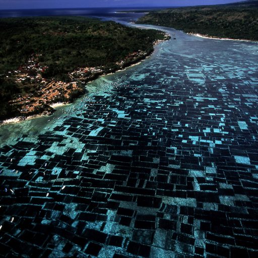 Seaweed plantations cover the ocean floor between Nusa Lembongan island and Nusa Ceningan island, a few kilometers east of Bali, Indonesia. The crop, which is used in the comestic industry, can sell for a significantly higher price than rice.Photo by:  Alexandra Boulat / VII