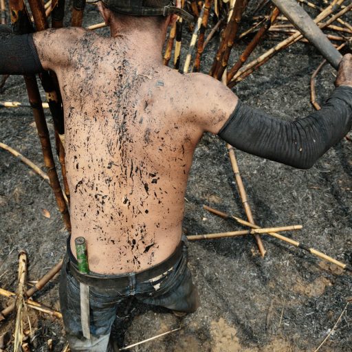 Cane cutters work in a field that was burned the night before, covered in the black soot and ashes of the charred sugar cane in Chichigalpa, Nicaragua on May 1, 2014.