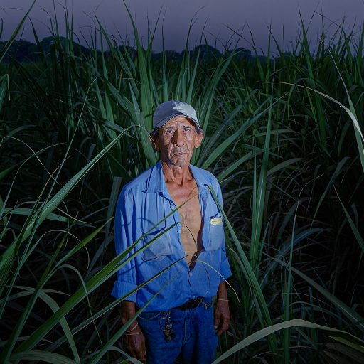 Luis Alberto Flores Reyes, 67, who is sick with CKDnT, is photographed in the sugar cane fields that he worked in for 25 years, in Chichigalpa, Nicaragua on April 25, 2014.