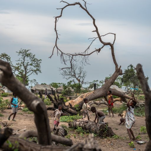 Children play around trees downed by Cyclone Idai in Guara Guara resettlement site, Mozambique, where thousands displaced by the storm are currently living, on November 14, 2019.

In March 2019, Cyclone Idai ravaged southeastern Africa, pummeling Beira and other parts of central Mozambique, as well as neighboring Malawi and Zimbabwe -- and leaving more than 750 people dead. At least 2.8 million people in the three countries were affected. About six weeks later, Cyclone Kenneth hit northern Mozambique, killing at least five people and destroying nearly 30,000 homes. It was the first time that two cyclones have struck Mozambique in the same season. Mozambique ranks third in Africa for vulnerability to climate change. It has about 2,300 kilometers (more than 1,400 miles) of coastline along the Indian Ocean as well as nine river basins prone to flooding.