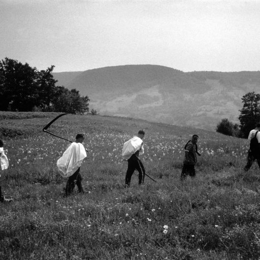 Members of the Commission for Missing Persons recover the remains of the Baltic family who were killed in an ambush on this hillside while trying to escape from srebrenica in July 1995. Their remains have lain in the open for the last five years. Up to seven thousand men and boys were massacred by the Serb forces after the failure of the UN troops to provide adequate protection. War crimes.