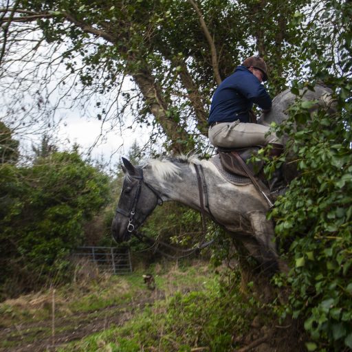Grange. Killinick. Co.Wexford .  Republic of Ireland. March 10, 2011
A man displays his horsemanship by riding backwards over a steep hedge during an afternoon with the Killinick Harriers Hunt Club. 

From the book The Republic (Allen Lane, 2016) Seamus Murphy's personal and immediate look at his native Ireland on the eve of the 100th anniversary of its revolutionary Easter Rising, which paved the way for independence for the south of the island, the Republic of Ireland.