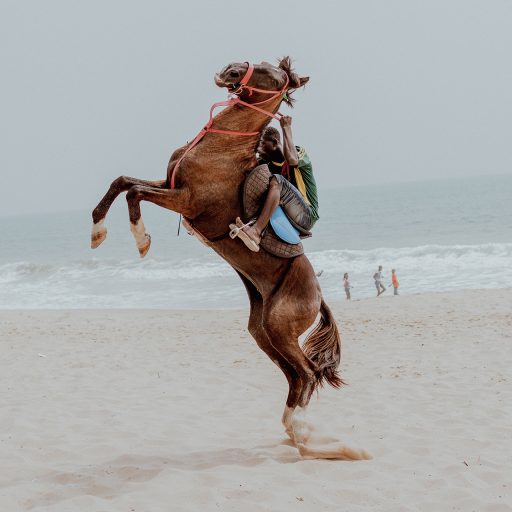 Quadri rearing his horse on Atican beach, Lagos.