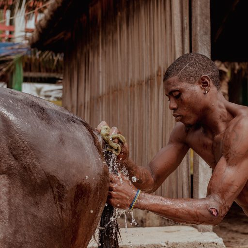 A horse rider washes his steed in Lagos, Nigeria.