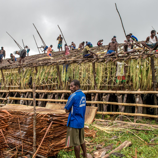 Men from the village of Sjuru construct a new jeu (longhouse) in Sjuru, at the last stage where the nipa palm roofs are about to be assembled to cover the new longhouse, June 12, 2015.

Asmat jeu’s can last 5 years at a cycle, after such period they will build another one in the facing direction of the river, and destroy the older longhouse.

When headhunting was rife in the ‘60s, many of Asmat longhouses were burned by the Indonesian government, as decision-making regarding headhunting raids are made in the jeu. There is to date no photographic evidence of such events, although the Asmat who witnessed it verbally report such occurrence.