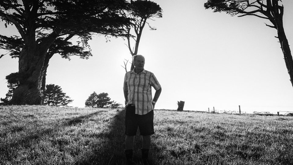 Retired Farmer Andy Davy stands in the shadows of Macrocarpa trees. 21st January, Auroa, Taranaki, Aotearoa. Photo by Nick Netzler