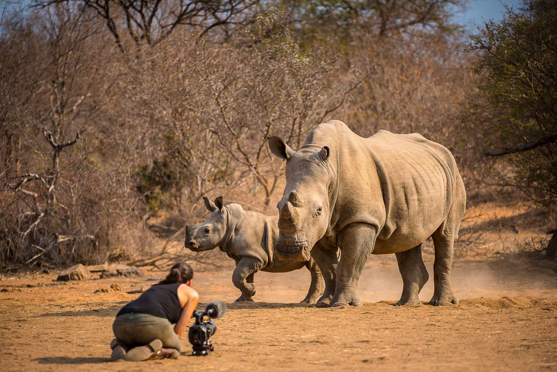 Image of Shannon Benson filming rhinos by Russell MacLaughlin