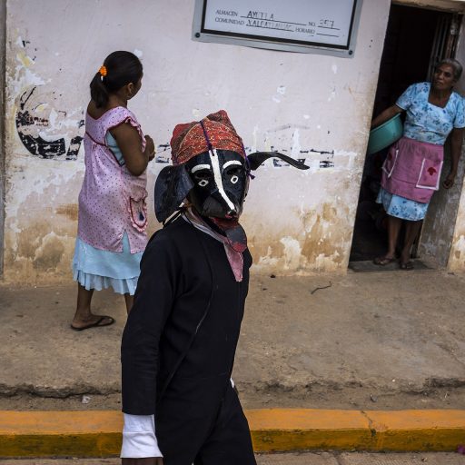 El Pericon, Guerrero,  Mexico, Jan 22th, 2015. A boy dressed as a dog  in Xalpatlahuac,  hometown of four of the missing students and one survivor. The village  was preparing to celebrate its  saint's day with parades and dances around town.

Four months after 43 students from a teachers' college in the state of Guerrero went missing, much of the state is in turmoil. The Mexican government says that the students were detained by police in Iguala and handed over to a local drug gang, which murdered them. But the families of the students say they do not believe the government's story and hold out hope that the students are still alive. In solidarity, protestors led by students and teachers block highways, occupy government buildings and demand the opening of military installations. They warn that they will halt elections scheduled for June. Although the students' disappearance revealed the tight grip of organized crime in the state, the police and the military have failed to protect communities. So many of them have taken matters into their own hands and formed comunity police forces, run by armed volunteers. The number of these forces have multiplied and have become an alternative source of authority in rural areas.  © Adriana Zehbrauskas.
