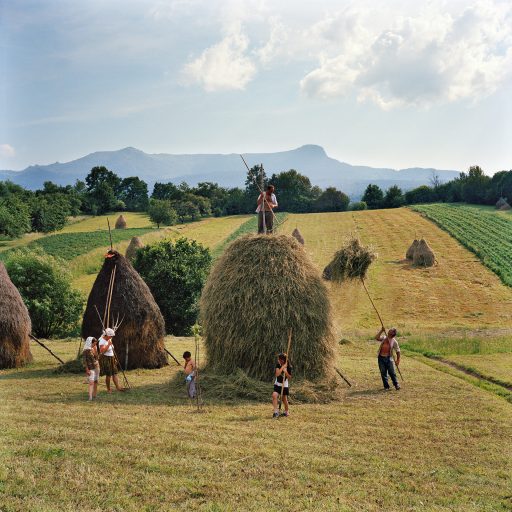 The whole Borca family, from Breb, puts finishing touches on one of the 40 haystacks it makes each summer. Maramures, Romania. June 2012. © Rena Effendi.