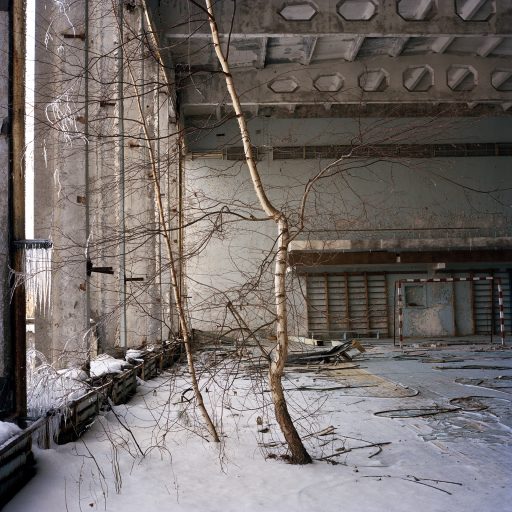 Birch tree growing on the second floor of a GYM in the abandoned city of Prypiats. As a result of the nuclear accident and the subsequent radioactive fallout the entire population of Prypiats had been evacuated and never returned home. Chernobyl, Ukraine. December 2010. © Rena Effendi.