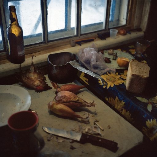 Galina Konyushok butchered a chicken to cook a broth. The food chain has been contaminated with radiation, especially animals that consume local food, such as grain and vegetation from the zone. Zirka village, Chernobyl. Ukraine. December 2010. © Rena Effendi.