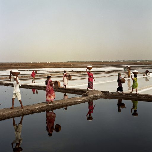 Workers harvest salt in Dharasana, Gujarat. In May 1930, the month after Gandhi led a march to protest British restrictions on salt, activists trained in nonviolent resistance marched here and were savagely beaten, a seminal event that advanced India’s drive for independence. March, 20013, Gujarat, India. © Rena Effendi.