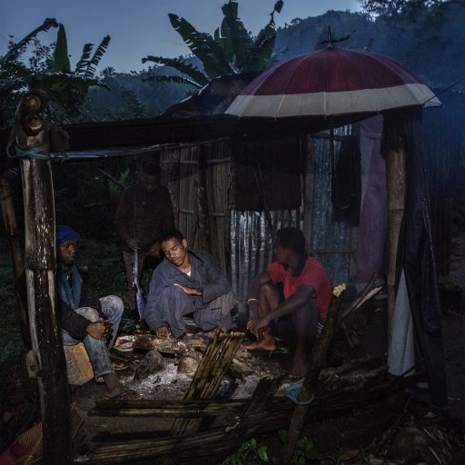 Nino Oclin, a 33-year-old farmer (C), sits by a campfire with three youths he has hired to help him protect his small family vanilla plantation from thieves near the remote mountain village of Mandena in Madagascar's northeastern Sava region. © Finbarr O’Reilly.