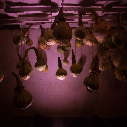 Cabbages hang stored in a cellar in Svetlana village. Residents grow their own vegetables, working hard in the summer months to store enough to last the winter. They also produce cheese, cottage cheese, and enough milk for themselves and to sell to their neighbors. ©Mary Gelman.