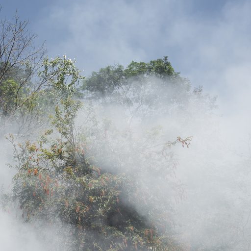 In April 2022, during one of the traditional ceremonies of the Pataxó ethnicity, the thick smoke from a large bonfire engulfs a portion of the forest in the main village in the city of Carmésia, state of Minas Gerais, Brazil. The reclaiming of their ancestral identity is a crucial aspect of the Pataxós' mission to redefine the historical episode of the Krenak Reformatory and revive the traditions of their ethnicity. © Leonardo Carrato.
