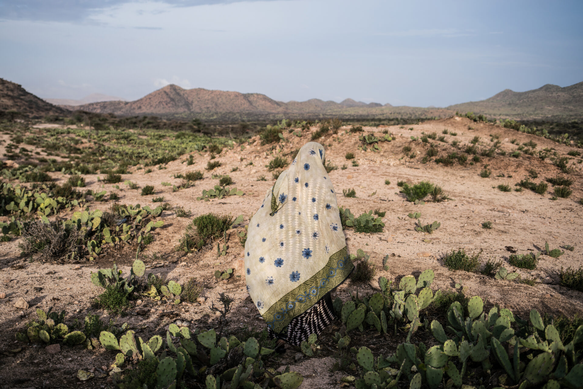 A woman walks through a cactus field in a drought-stricken area of western Somaliland, a semi-autonomous region in the north of Somalia. © Nichole Sobecki / VII.