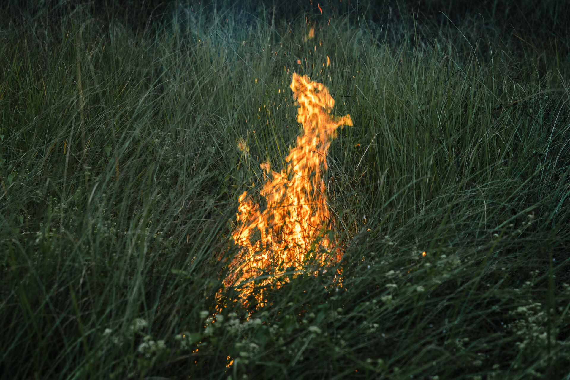 Burning grass symbolises the rapid and uncontrolled expansion of cities into natural landscapes. This image is part of The Place Where I Used To Play... series, photographed in Dhaka, Bangladesh, November 2024. © Jubair Ahmed Arnob.
