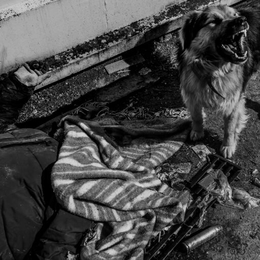 A woman who has been partially covered lays killed on the street after Russian forces leave the previously occupied city of Bucha, Ukraine. © Svet Jacqueline.