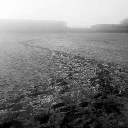 The footprints of those who crossed in a field in Texas, 2021. © Svet Jacqueline.