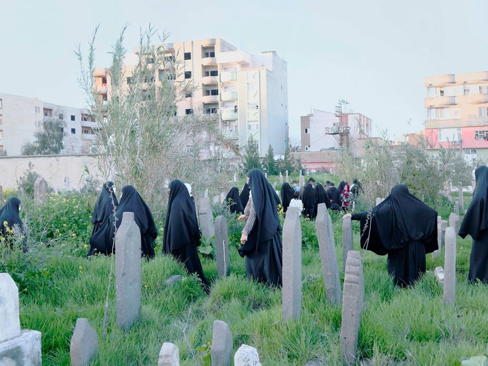 Photo by Furkan Temir